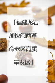 福建龙岩加快闽西革命老区高质量发展