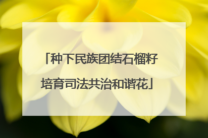 种下民族团结石榴籽 培育司法共治和谐花