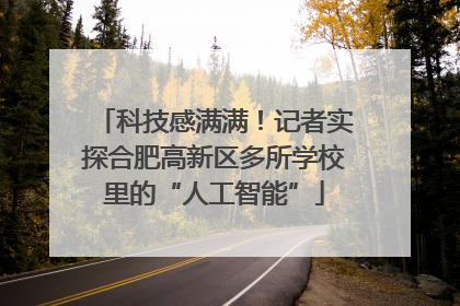 科技感满满！记者实探合肥高新区多所学校里的“人工智能”