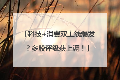 科技+消费双主线爆发？多股评级获上调！