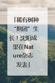 稀有树种“抱团”生长！沈阳成果在Nature杂志发表