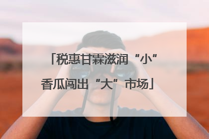 税惠甘霖滋润“小”香瓜闯出“大”市场