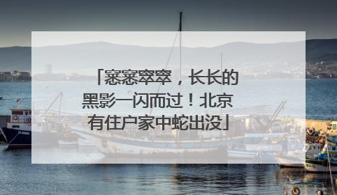 窸窸窣窣，长长的黑影一闪而过！北京有住户家中蛇出没