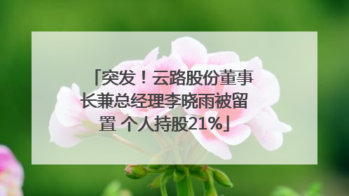 突发！云路股份董事长兼总经理李晓雨被留置 个人持股21%