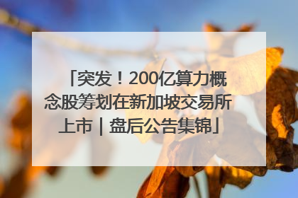 突发！200亿算力概念股筹划在新加坡交易所上市｜盘后公告集锦