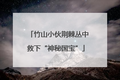 竹山小伙荆棘丛中救下“神秘国宝”
