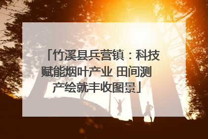 竹溪县兵营镇：科技赋能烟叶产业 田间测产绘就丰收图景