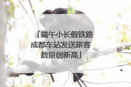 端午小长假铁路成都车站发送旅客数量创新高
