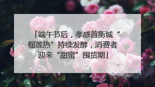 端午节后，孝感首衡城“榴莲热”持续发酵，消费者迎来“甜蜜”囤货期