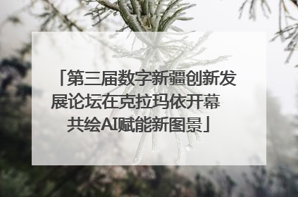 第三届数字新疆创新发展论坛在克拉玛依开幕 共绘AI赋能新图景