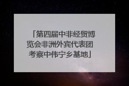 第四届中非经贸博览会非洲外宾代表团考察中伟宁乡基地