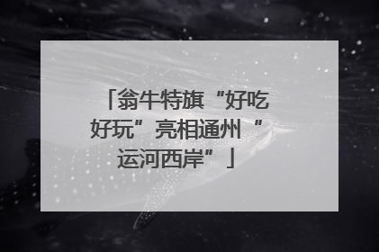 翁牛特旗“好吃好玩”亮相通州“运河西岸”