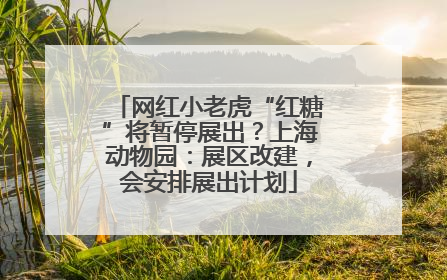 网红小老虎“红糖”将暂停展出？上海动物园：展区改建，会安排展出计划