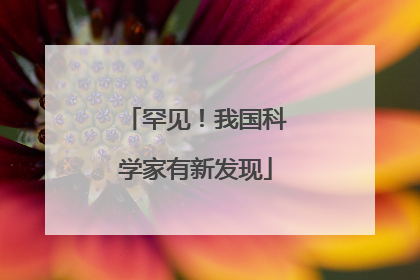 罕见！我国科学家有新发现