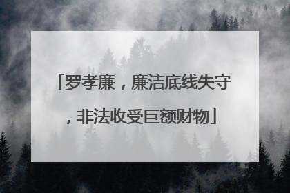 罗孝廉，廉洁底线失守，非法收受巨额财物