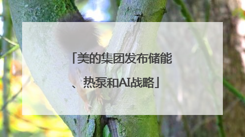 美的集团发布储能、热泵和AI战略