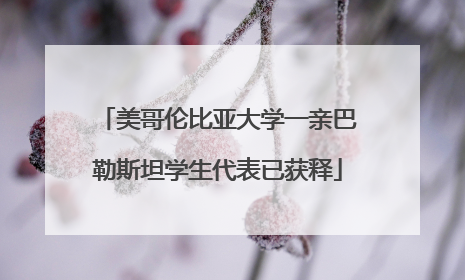 美哥伦比亚大学一亲巴勒斯坦学生代表已获释