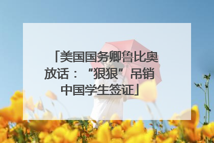 美国国务卿鲁比奥放话：“狠狠”吊销中国学生签证