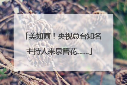 美如画！央视总台知名主持人来泉簪花……
