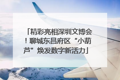精彩亮相深圳文博会！聊城东昌府区“小葫芦”焕发数字新活力
