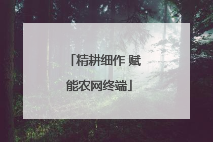 精耕细作 赋能农网终端