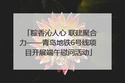 粽香沁人心 联建聚合力——青岛地铁6号线项目开展端午慰问活动