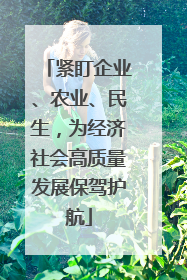 紧盯企业、农业、民生，为经济社会高质量发展保驾护航