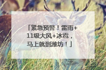 紧急预警！雷雨+11级大风+冰雹，马上就到潍坊！