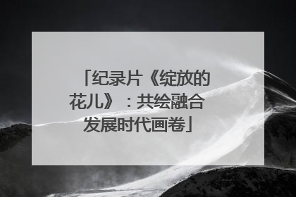 纪录片《绽放的花儿》：共绘融合发展时代画卷