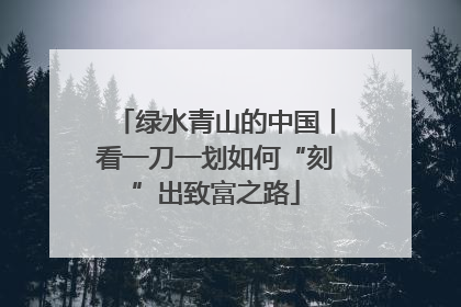 绿水青山的中国丨看一刀一划如何“刻”出致富之路