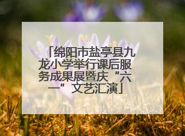绵阳市盐亭县九龙小学举行课后服务成果展暨庆“六一”文艺汇演