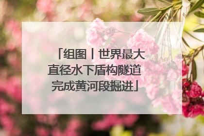 组图丨世界最大直径水下盾构隧道完成黄河段掘进