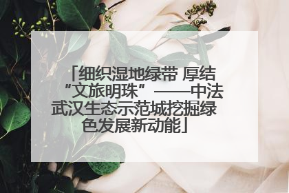 细织湿地绿带 厚结“文旅明珠”——中法武汉生态示范城挖掘绿色发展新动能