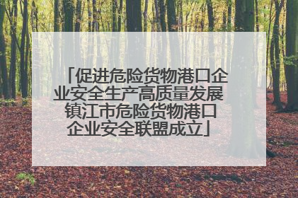 促进危险货物港口企业安全生产高质量发展 镇江市危险货物港口企业安全联盟成立