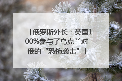 俄罗斯外长：英国100%参与了乌克兰对俄的“恐怖袭击”