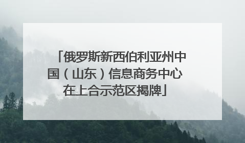 俄罗斯新西伯利亚州中国（山东）信息商务中心在上合示范区揭牌