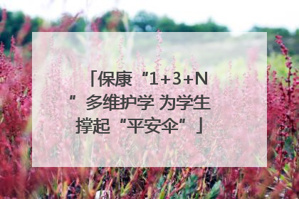 保康“1+3+N”多维护学 为学生撑起“平安伞”