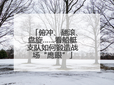 俯冲、翻滚、盘旋……看船艇支队如何锻造战场“鹰眼”