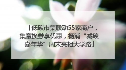 低碳市集联动55家商户，集章换券享优惠，杨浦“减碳嘉年华”周末亮相大学路