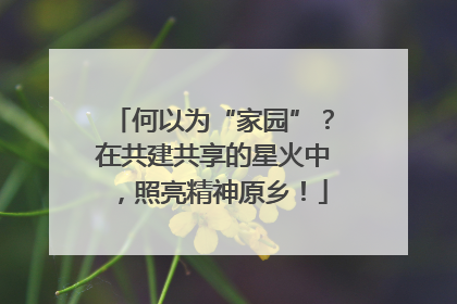 何以为“家园”？在共建共享的星火中，照亮精神原乡！