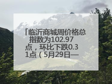 临沂商城周价格总指数为102.97点，环比下跌0.31点（5月29日—6月4日）