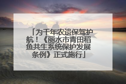 为千年农遗保驾护航！《丽水市青田稻鱼共生系统保护发展条例》正式施行