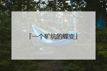 一个矿坑的蝶变