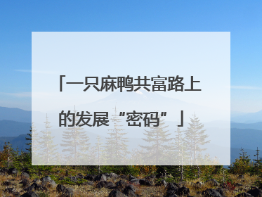 一只麻鸭共富路上的发展“密码”