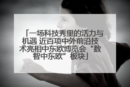 一场科技秀里的活力与机遇 近百项中外前沿技术亮相中东欧博览会“数智中东欧”板块