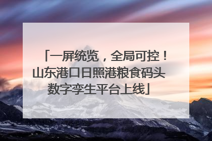 一屏统览，全局可控！山东港口日照港粮食码头数字孪生平台上线