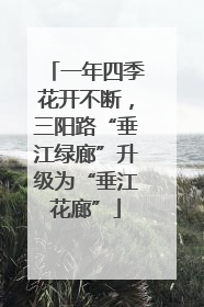 一年四季花开不断，三阳路“垂江绿廊”升级为“垂江花廊”