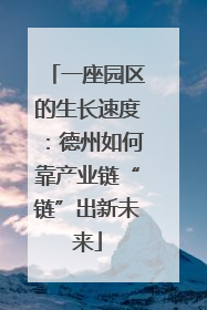 一座园区的生长速度：德州如何靠产业链“链”出新未来
