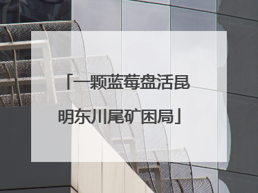 一颗蓝莓盘活昆明东川尾矿困局