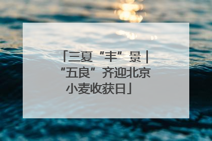 三夏“丰”景｜“五良”齐迎北京小麦收获日